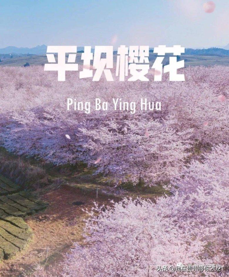 表情大乱斗